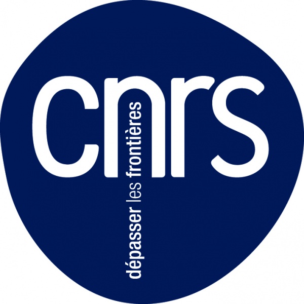 File:CNRS-fr-nouveau logo.jpg